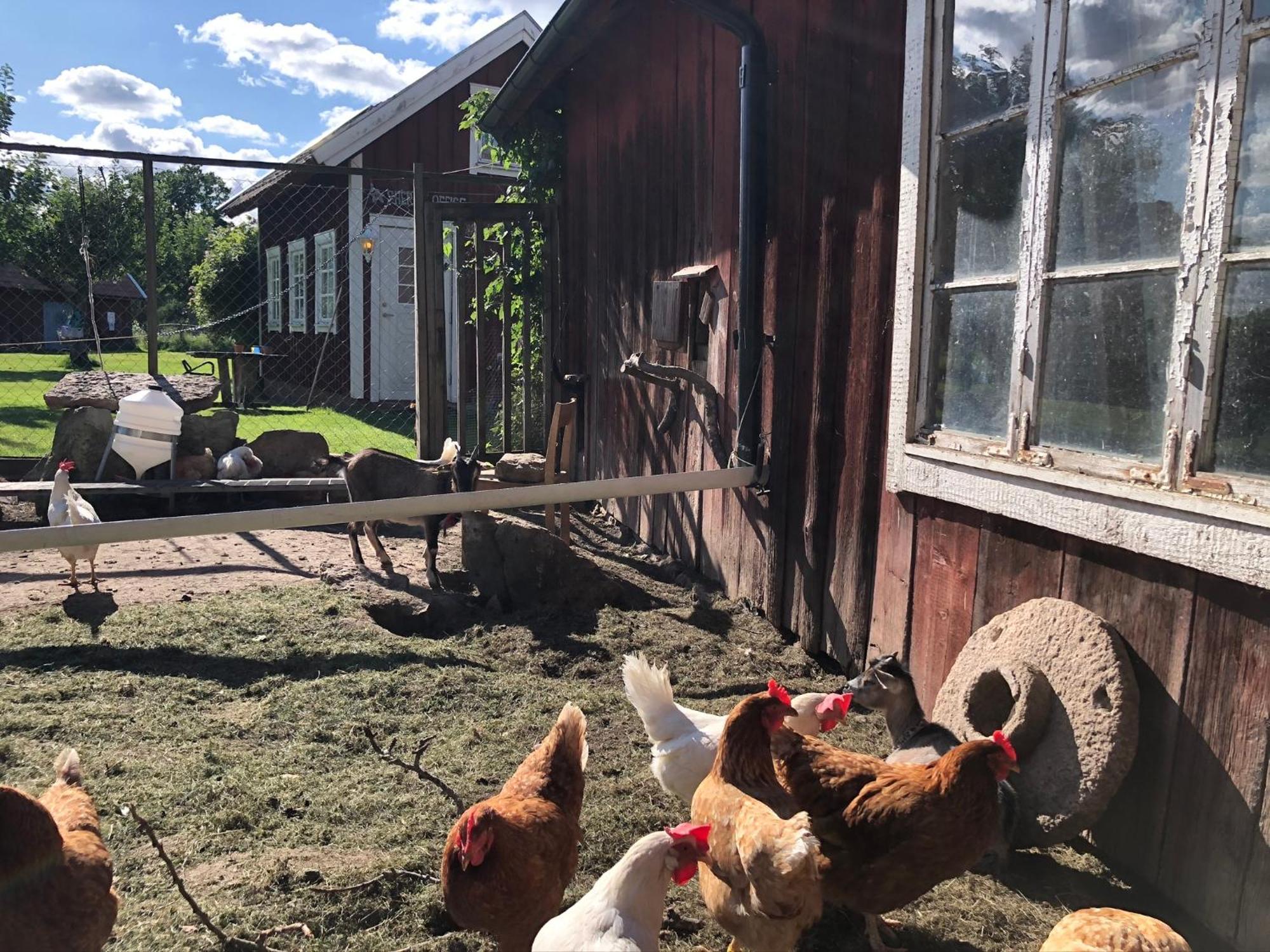 Aeventyrsgardens Vandrarhem, Kinnekulle Källby Kültér fotó