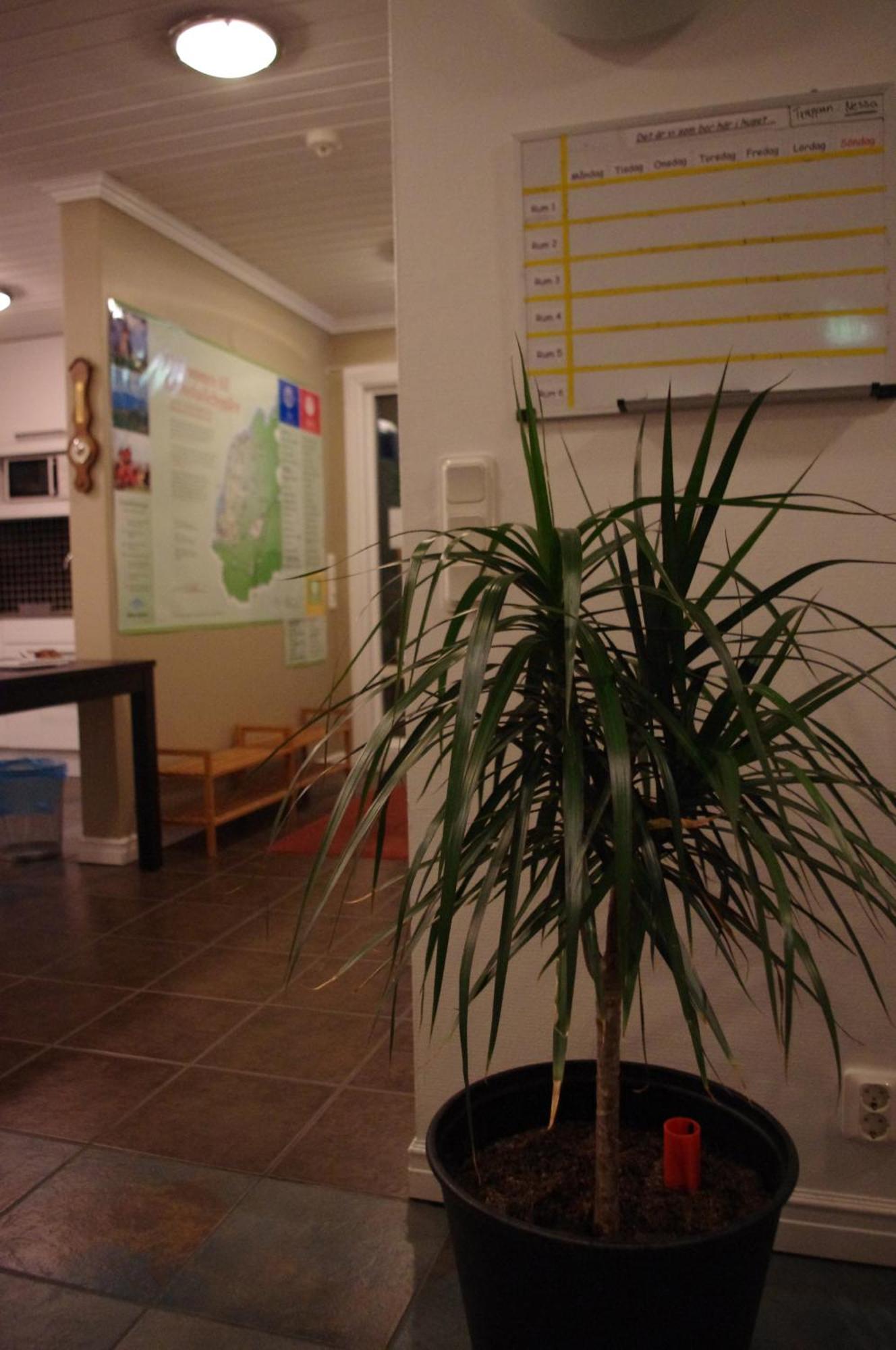 Aeventyrsgardens Vandrarhem, Kinnekulle Källby Kültér fotó